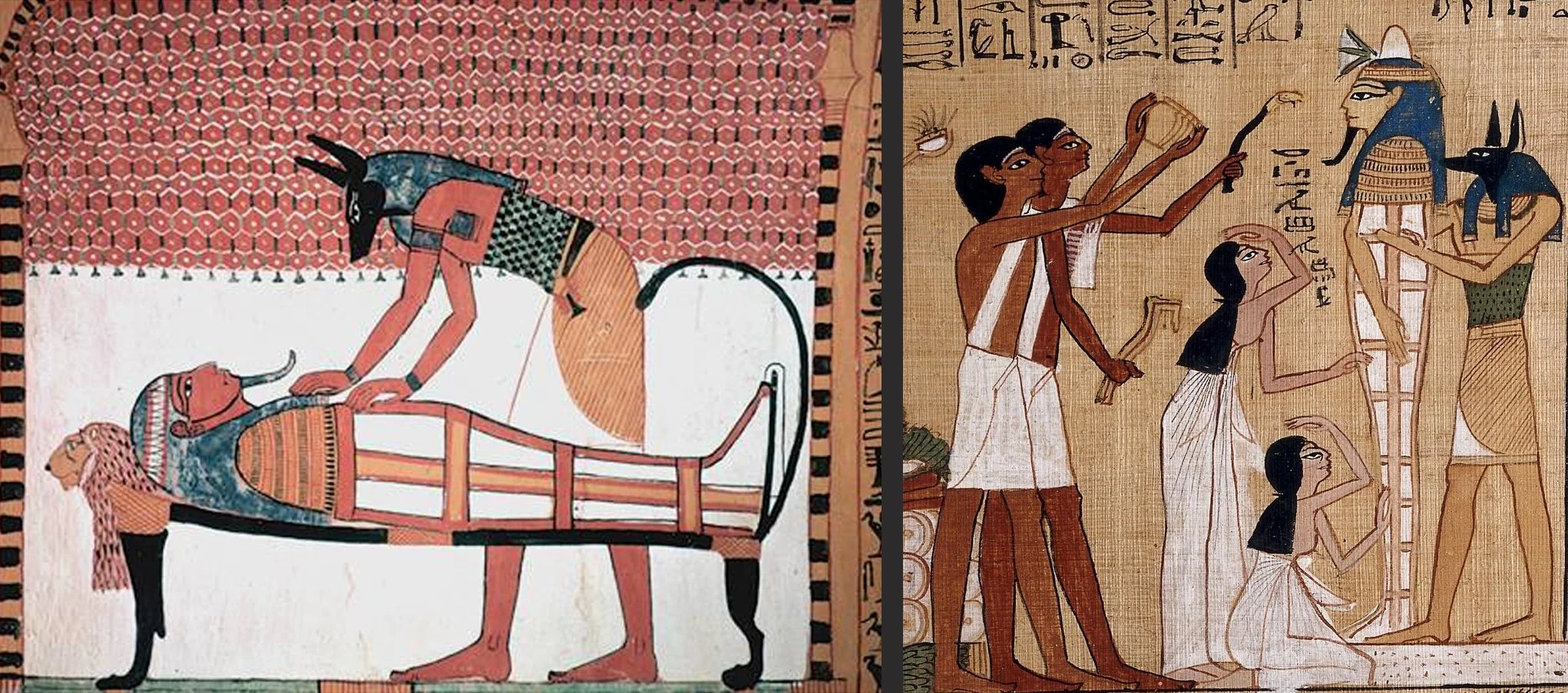 【、しば犬Pharaonic of Egypt】付属品と確認用 Companions and Guardians: Dogs and Jackals in Ancient Egypt
